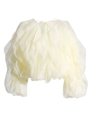 Ruffled Long-Sleeve Blouse