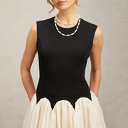 Colorblock Sleeveless Flared Dress