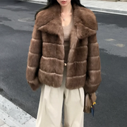 Shaggy Paneled Collared Jacket