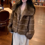 Shaggy Paneled Collared Jacket