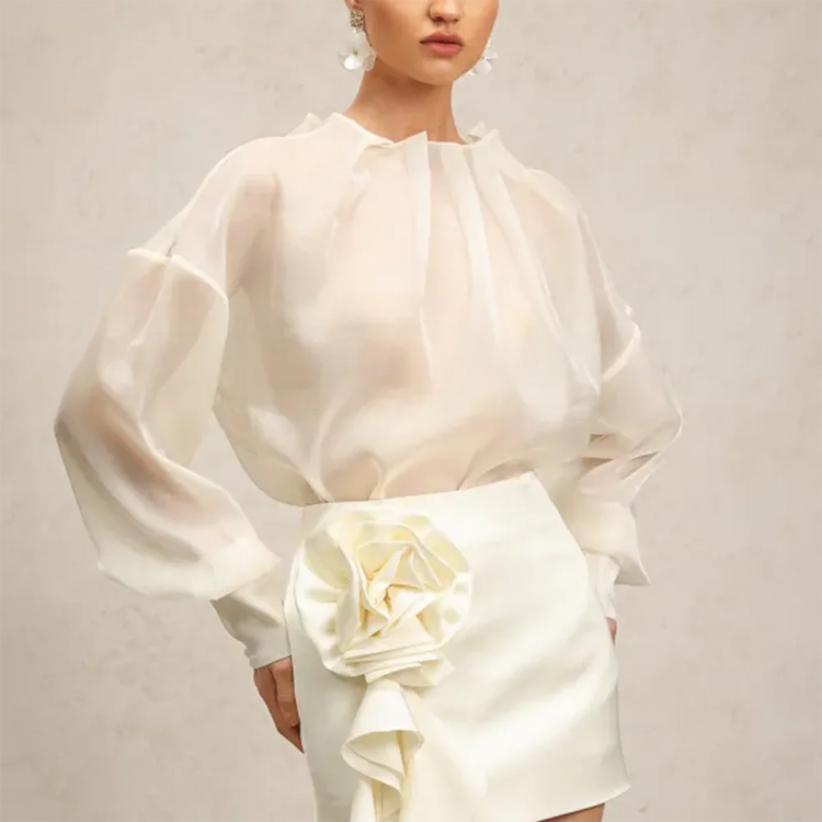 Sheer High-Neck Long-Sleeve Blouse